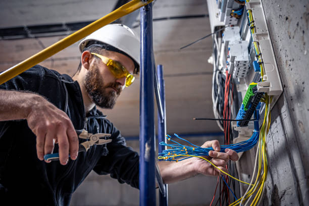 Best Affordable Electrician  in Plant City, FL